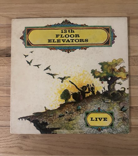The 13th floor elevators - floor, live